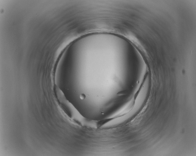 X0000070421238200606231845