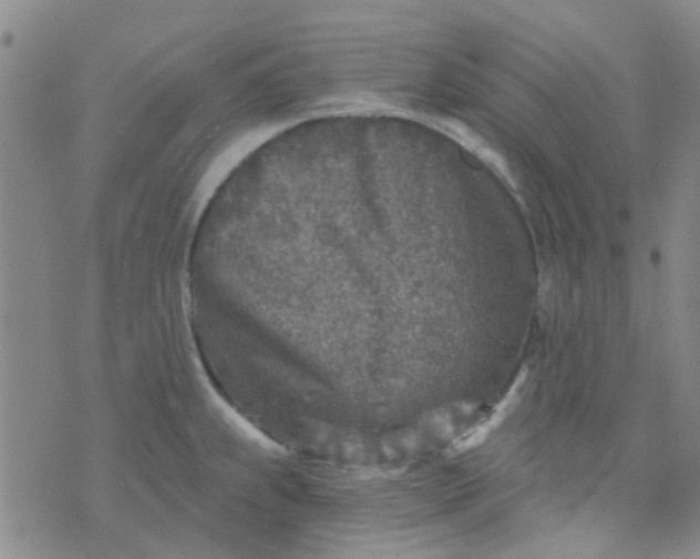 X0000070421239200606231845