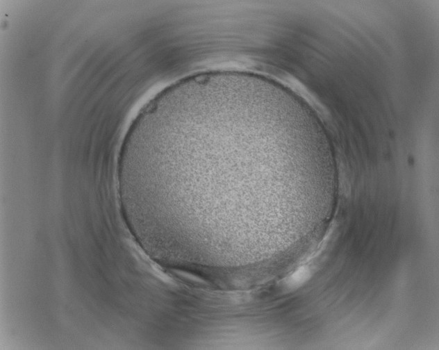 X0000070421240200606231845