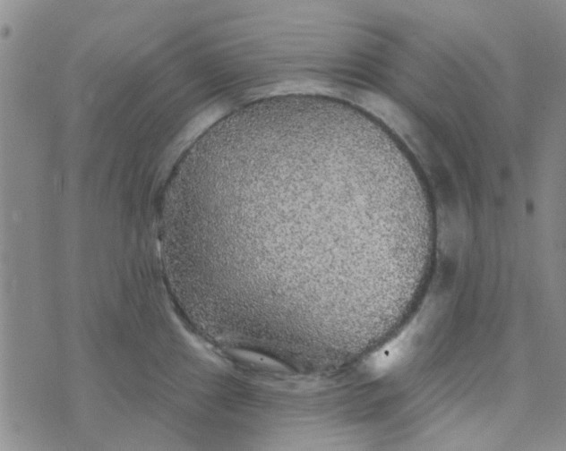 X0000070421241200606231845