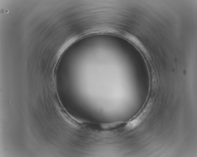 X0000070421242200606231845