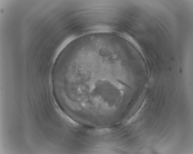 X0000070421243200606231845