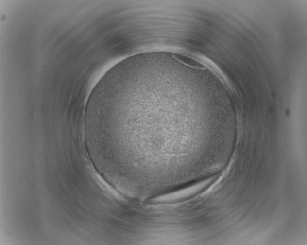 X0000070421244200606231845