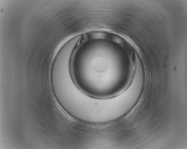 X0000070421246200606231845