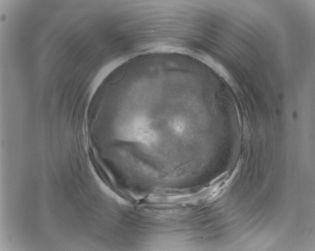 X0000070421247200606231845