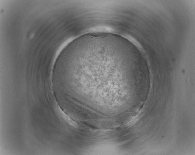 X0000070421248200606231845