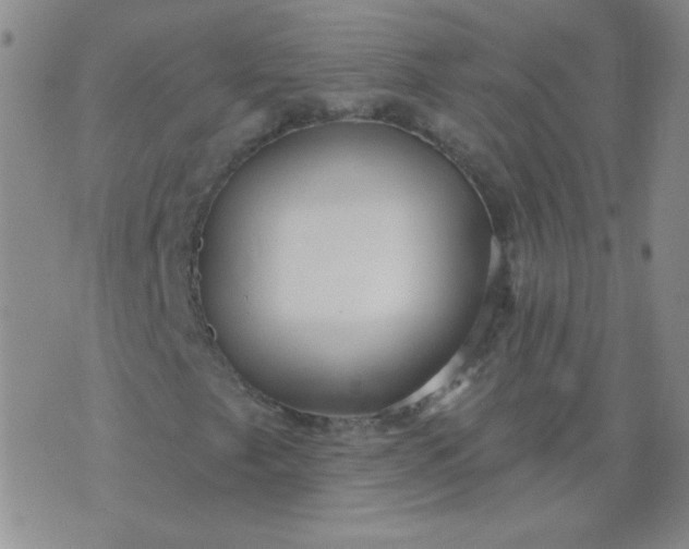 X0000070421249200606231844