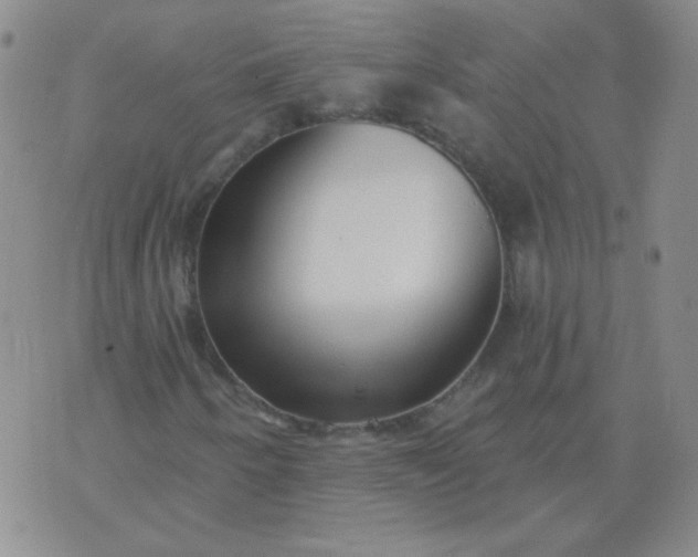 X0000070421250200606231844