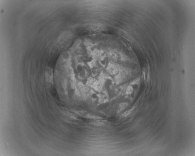 X0000070421251200606231844