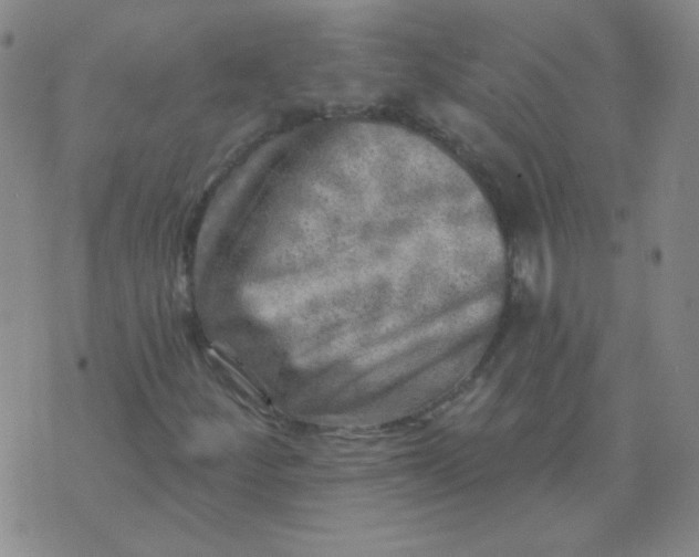 X0000070421252200606231844