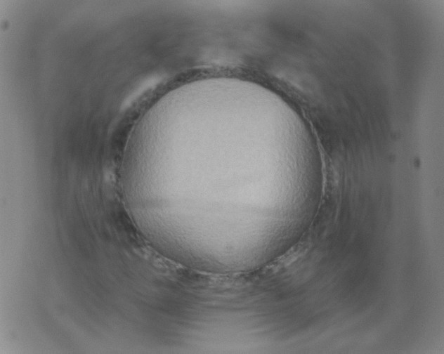 X0000070421254200606231844