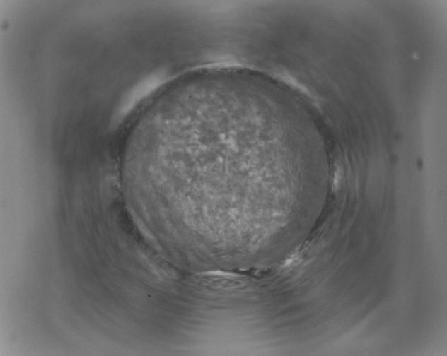 X0000070421255200606231844