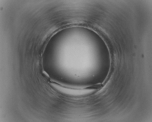 X0000070421257200606231844