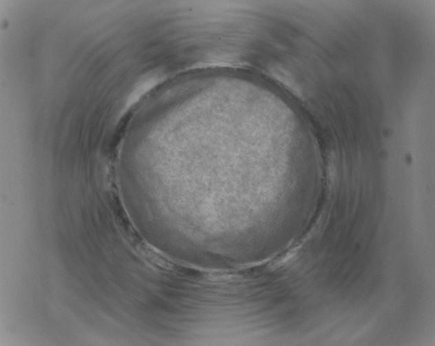 X0000070421258200606231844