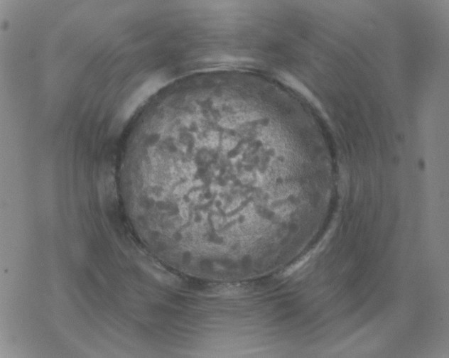 X0000070421259200606231844