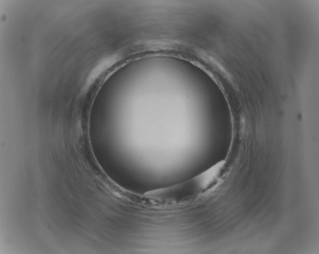 X0000070421261200606231844