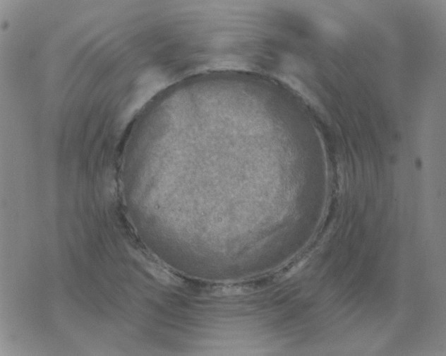 X0000070421266200606231844