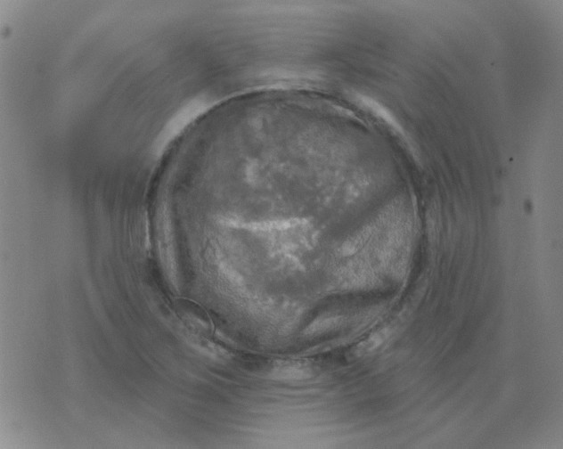 X0000070421267200606231844