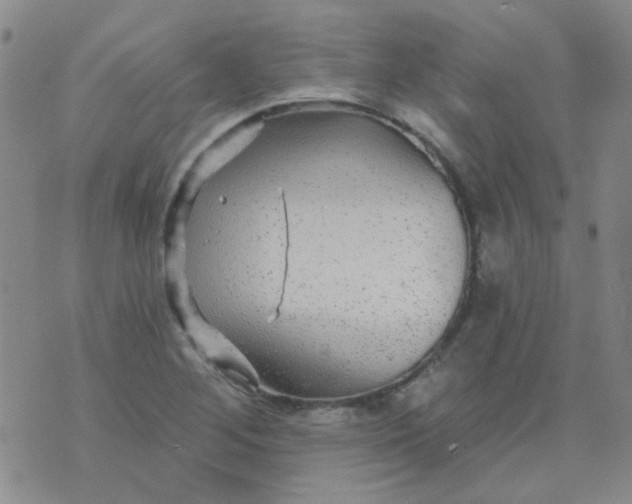 X0000070421268200606231844