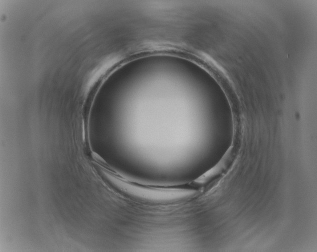 X0000070421269200606231844