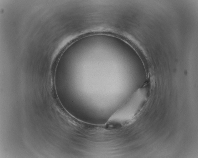 X0000070421270200606231844