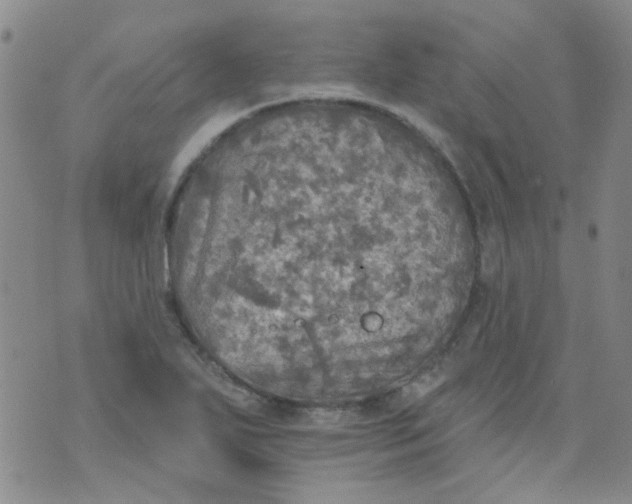 X0000070421271200606231844