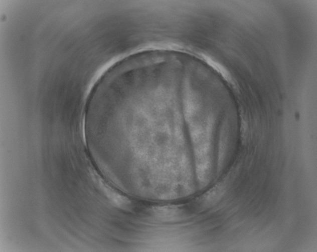 X0000070421272200606231844