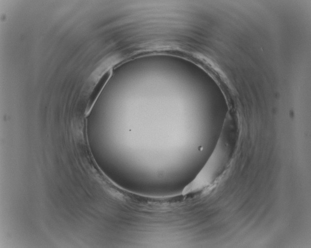 X0000070421273200606231844