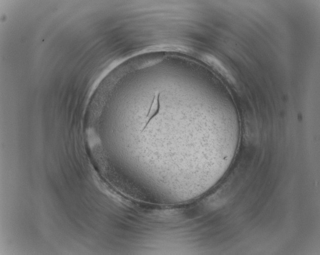 X0000070421276200606231844