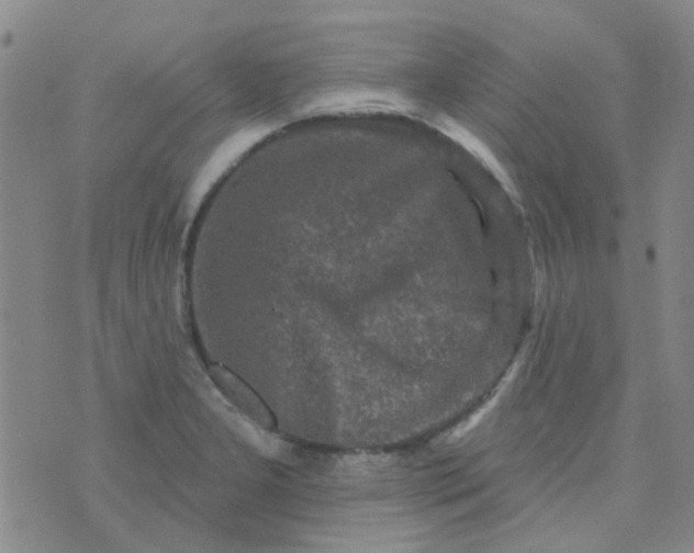 X0000070421277200606231844