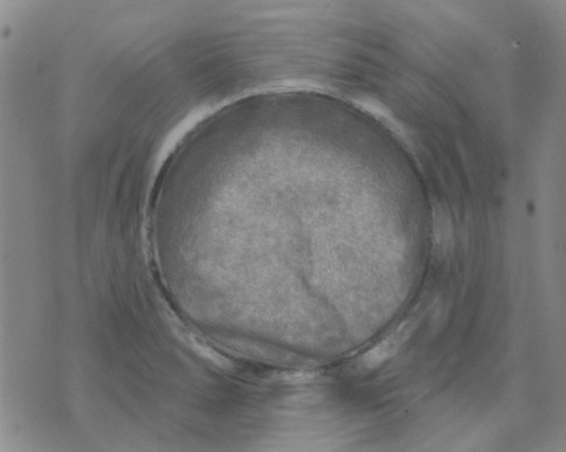 X0000070421278200606231844