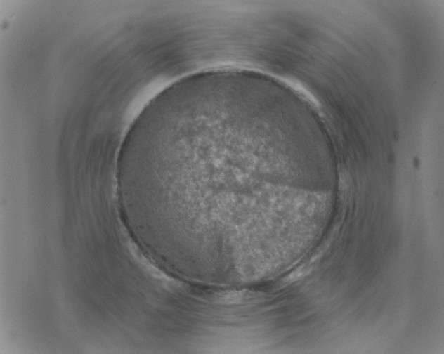 X0000070421279200606231844