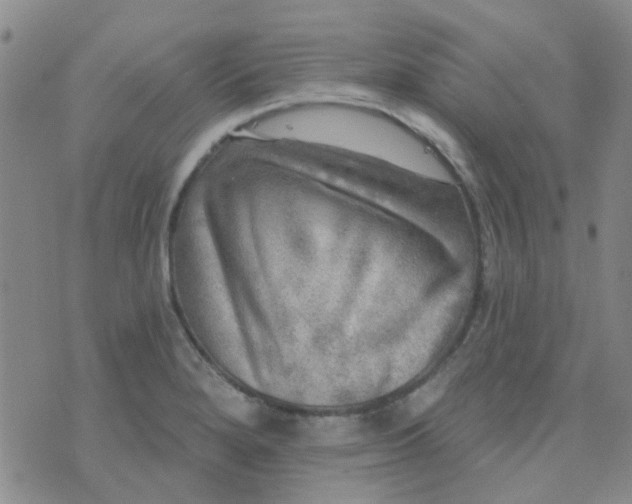 X0000070421280200606231844