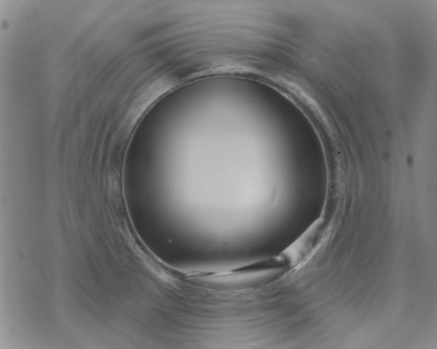 X0000070421281200606231844