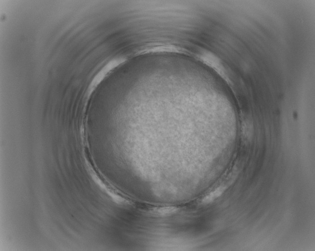 X0000070421282200606231844