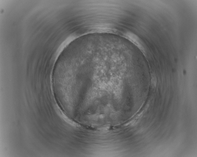 X0000070421283200606231844