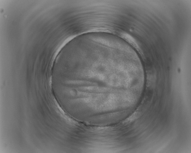 X0000070421284200606231844