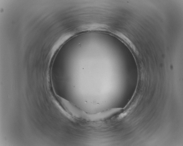 X0000070421285200606231844