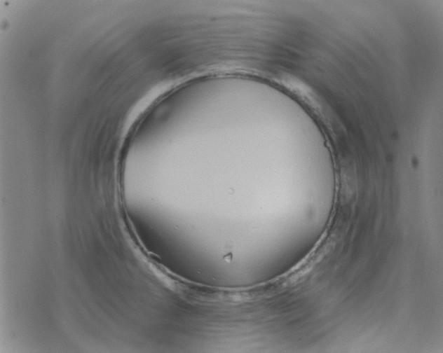 X0000070421286200606231844