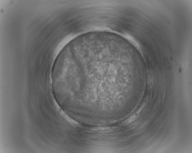 X0000070421287200606231844