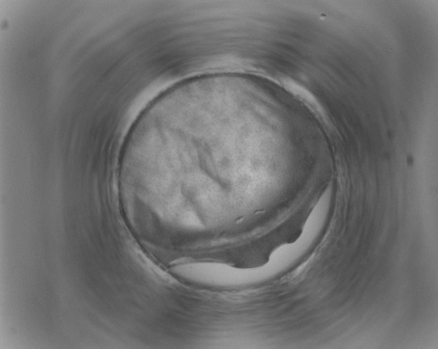 X0000070421288200606231844