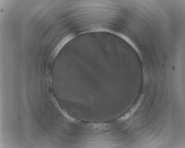 X0000070421289200606231844