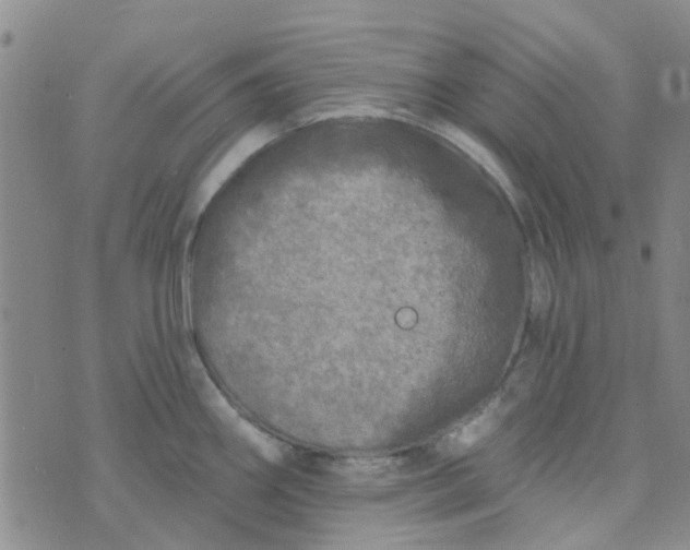 X0000070421290200606231844