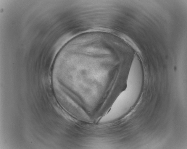 X0000070421292200606231844