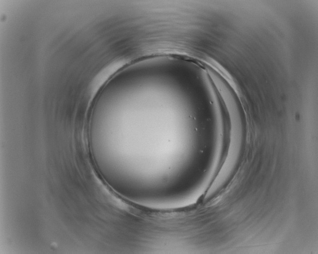 X0000070421293200606231844