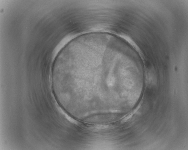 X0000070421294200606231843