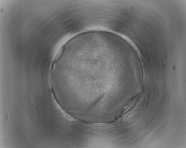 X0000070421295200606231843