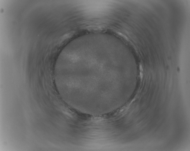 X0000070421297200606231843