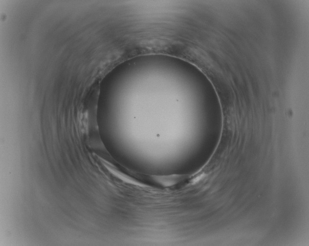 X0000070421298200606231843