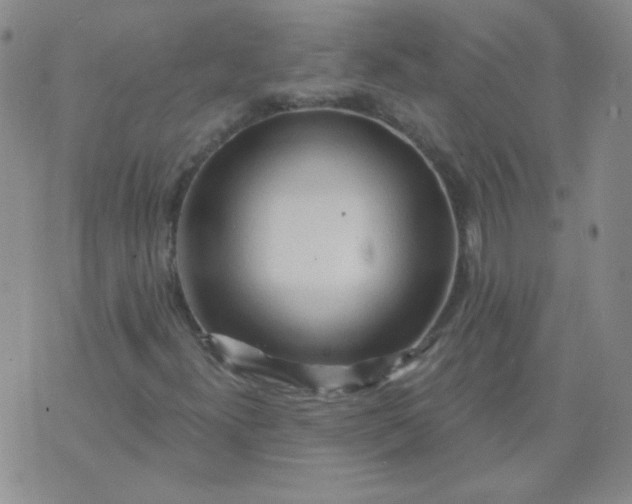 X0000070421300200606231843